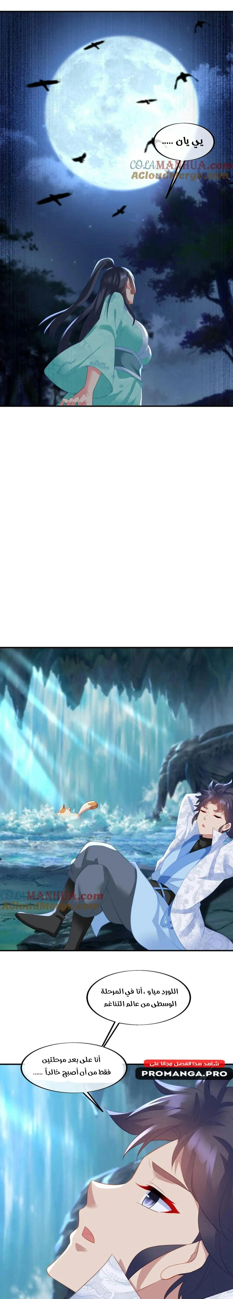 Chapter Image 5
